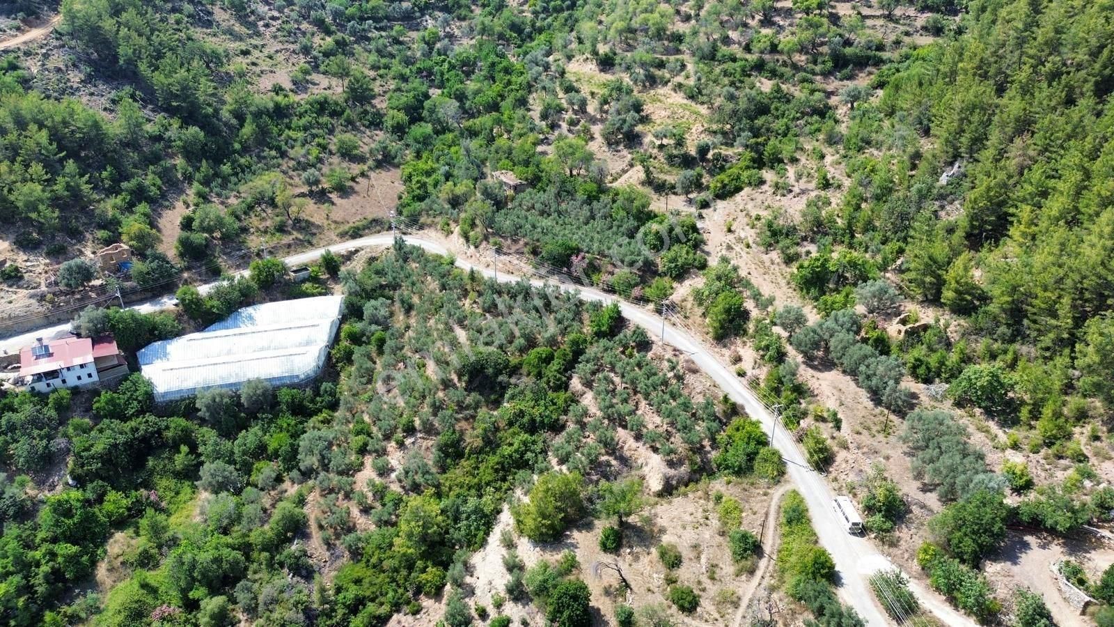 Gazipaşa İnceğiz’de 18.351 M² Satılık Tarla - Görsel 7