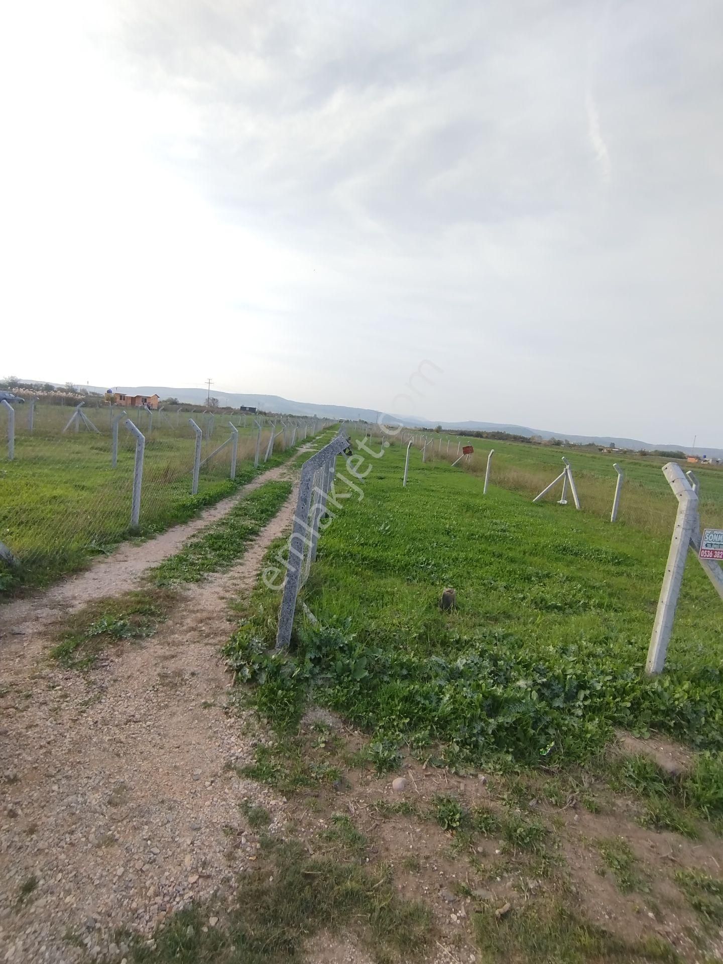 E.foça Yoluna Yakın Ulaşım Sorunu Olmayan Paylı Mülkiyetli Arazi - Görsel 3