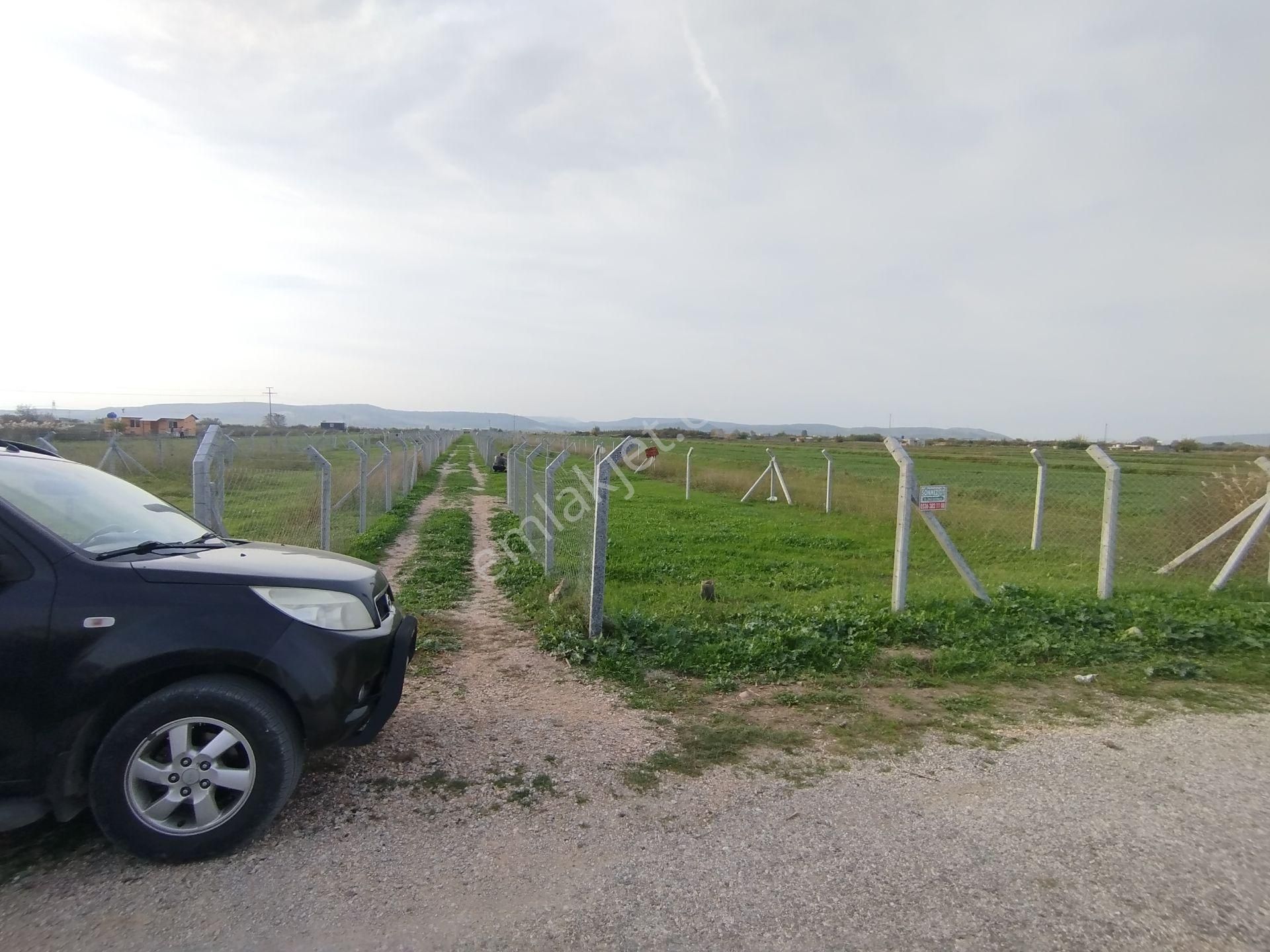 E.foça Yoluna Yakın Ulaşım Sorunu Olmayan Paylı Mülkiyetli Arazi - Görsel 8