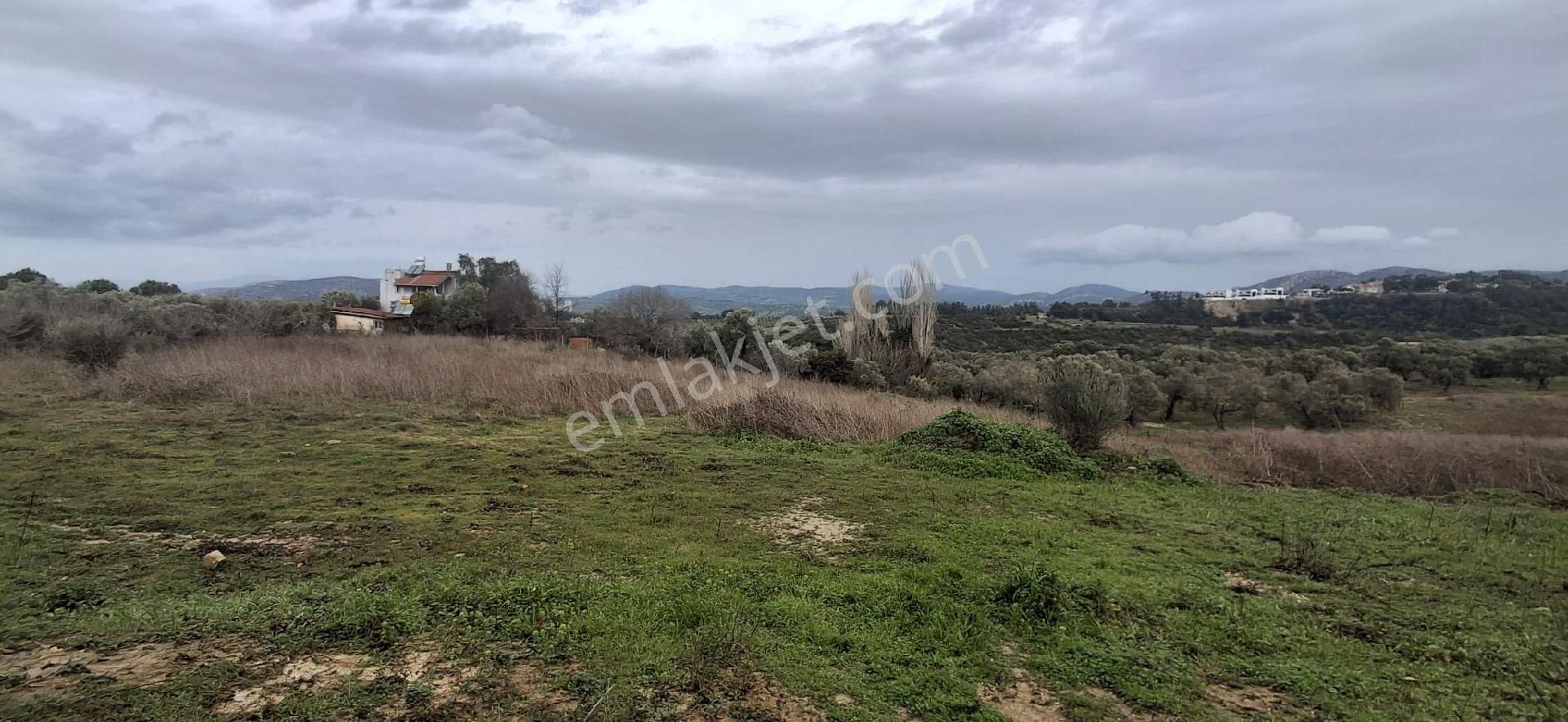 🌿 Hayalinizdeki Arsa Sogucak’da 12 Villalık Satılık - Görsel 2