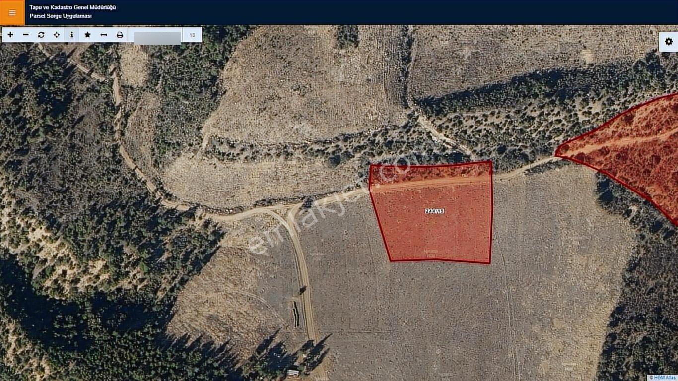Başkan Emlaktan Satılık Söğüt Geçitli Köyünde 16.877 M2 Tarla - Görsel 16