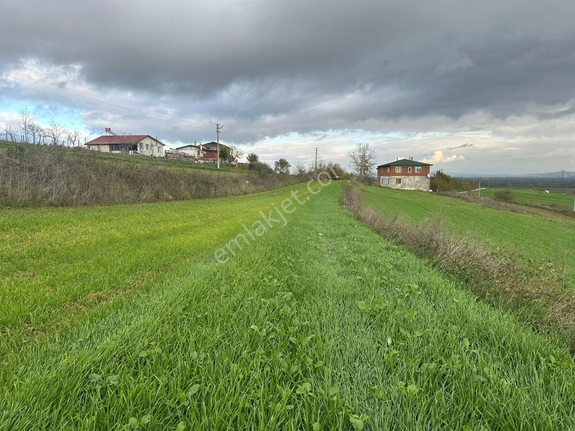 Sakarya Adapazarı Kayrancık Mahallesinde Yatırımlık Tarla - Görsel 30