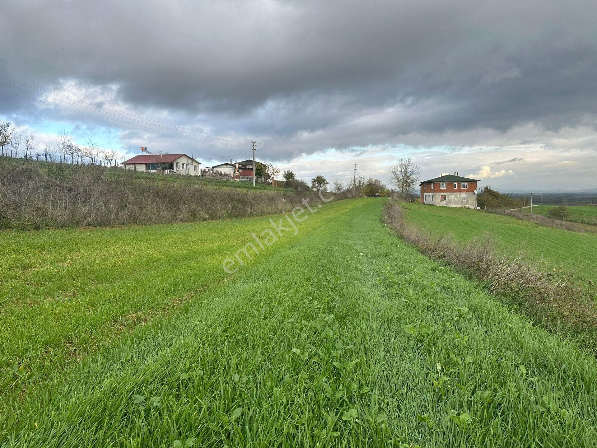 Sakarya Adapazarı Kayrancık Mahallesinde Yatırımlık Tarla - Görsel 27