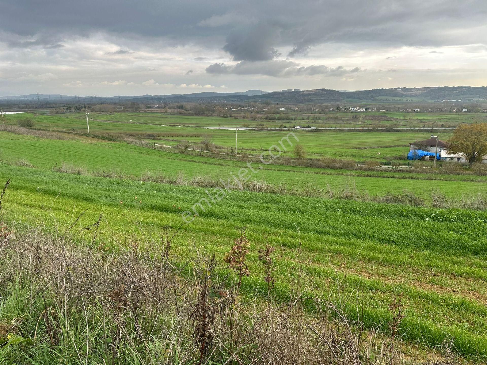 Sakarya Adapazarı Kayrancık Mahallesinde Yatırımlık Tarla - Görsel 24