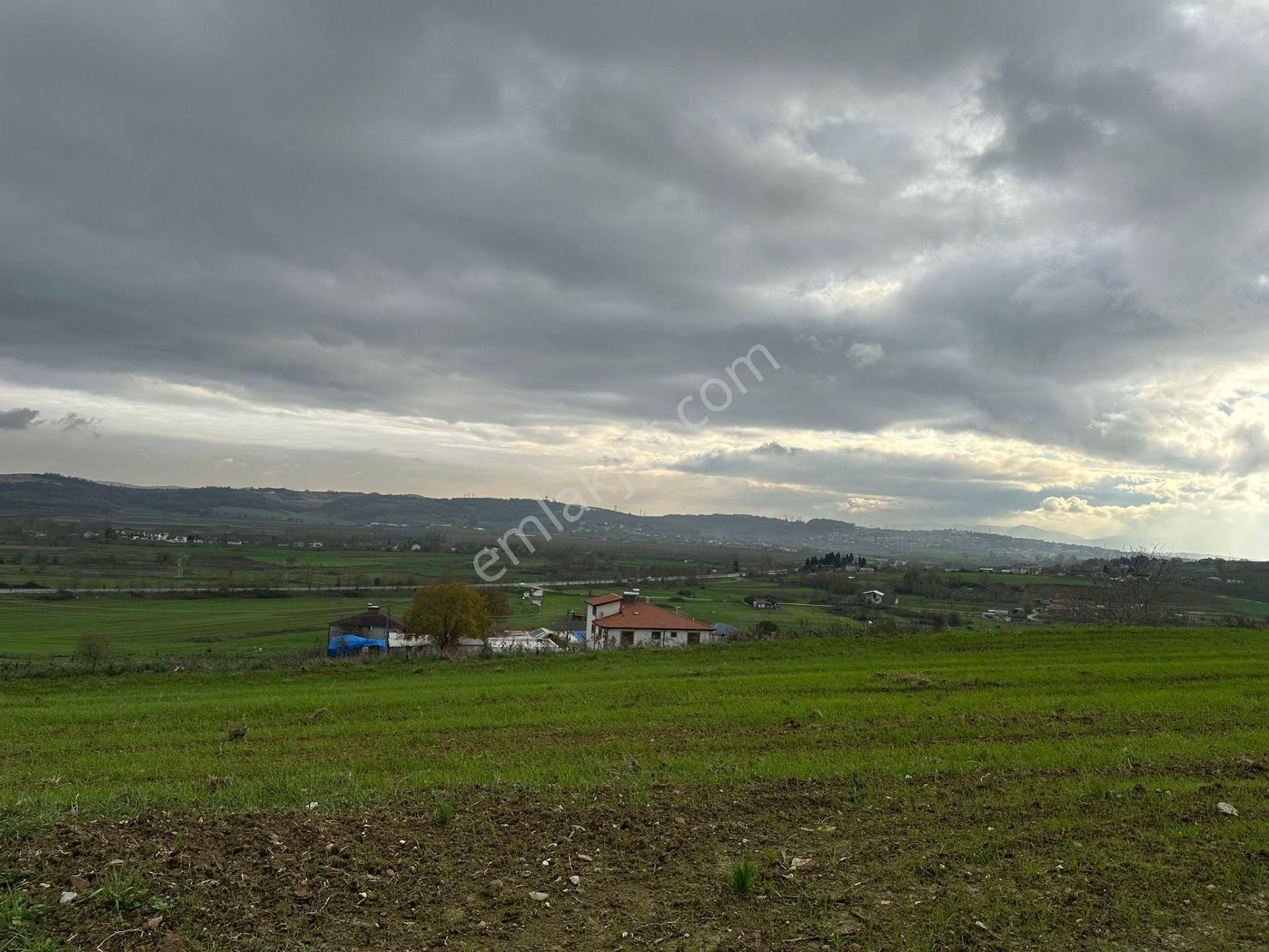 Sakarya Adapazarı Kayrancık Mahallesinde Yatırımlık Tarla - Görsel 4