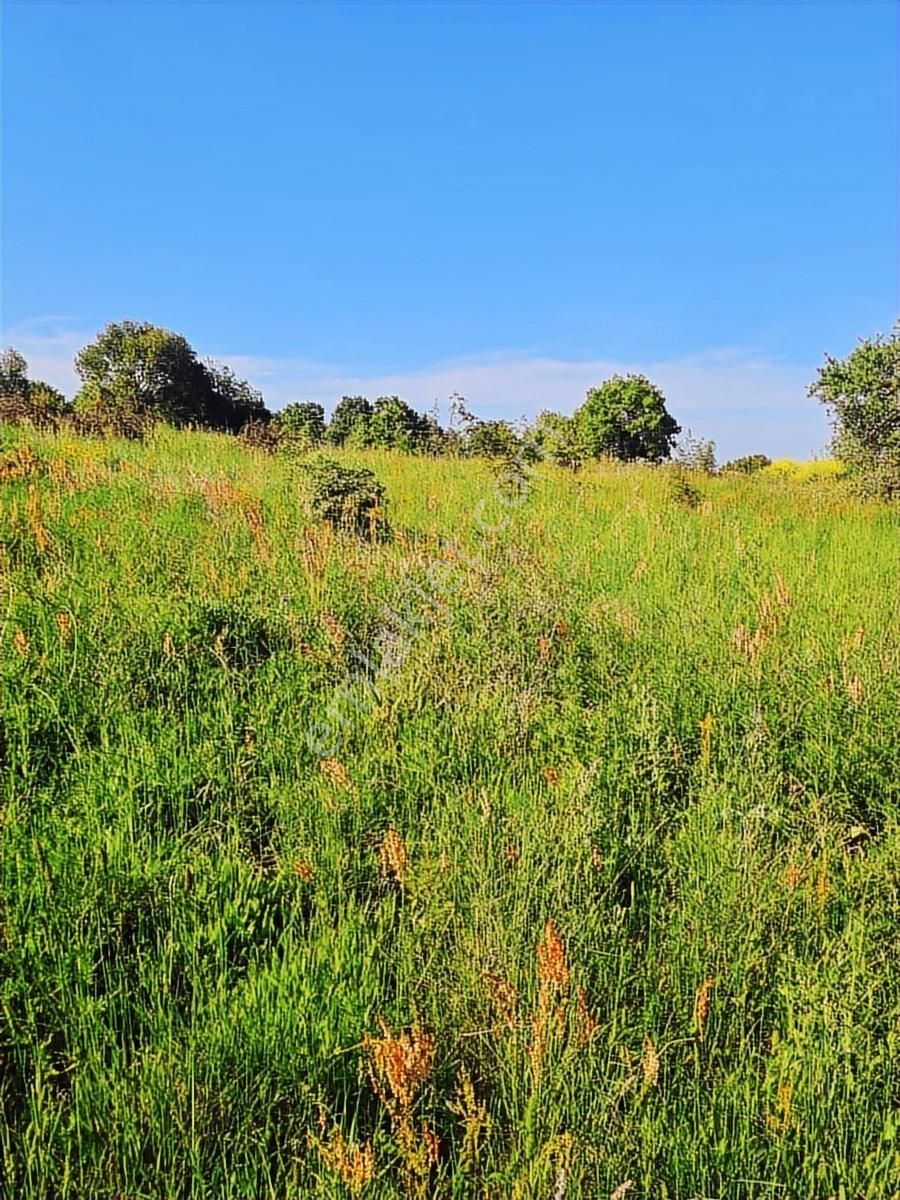 Biga Gündoğdu'da 45 Metre Yola Cephe Yatırımlık Tarla - Görsel 12