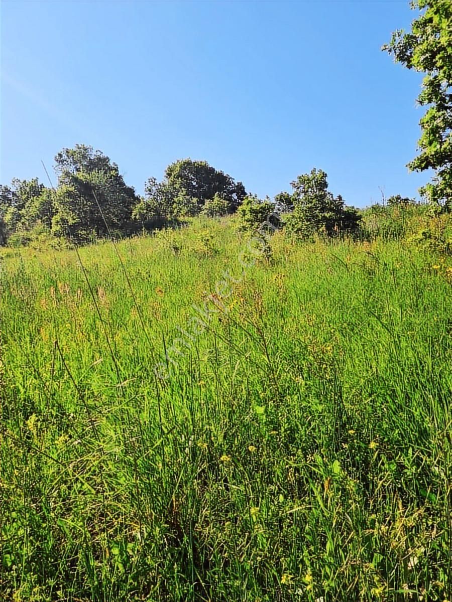 Biga Gündoğdu'da 45 Metre Yola Cephe Yatırımlık Tarla - Görsel 4