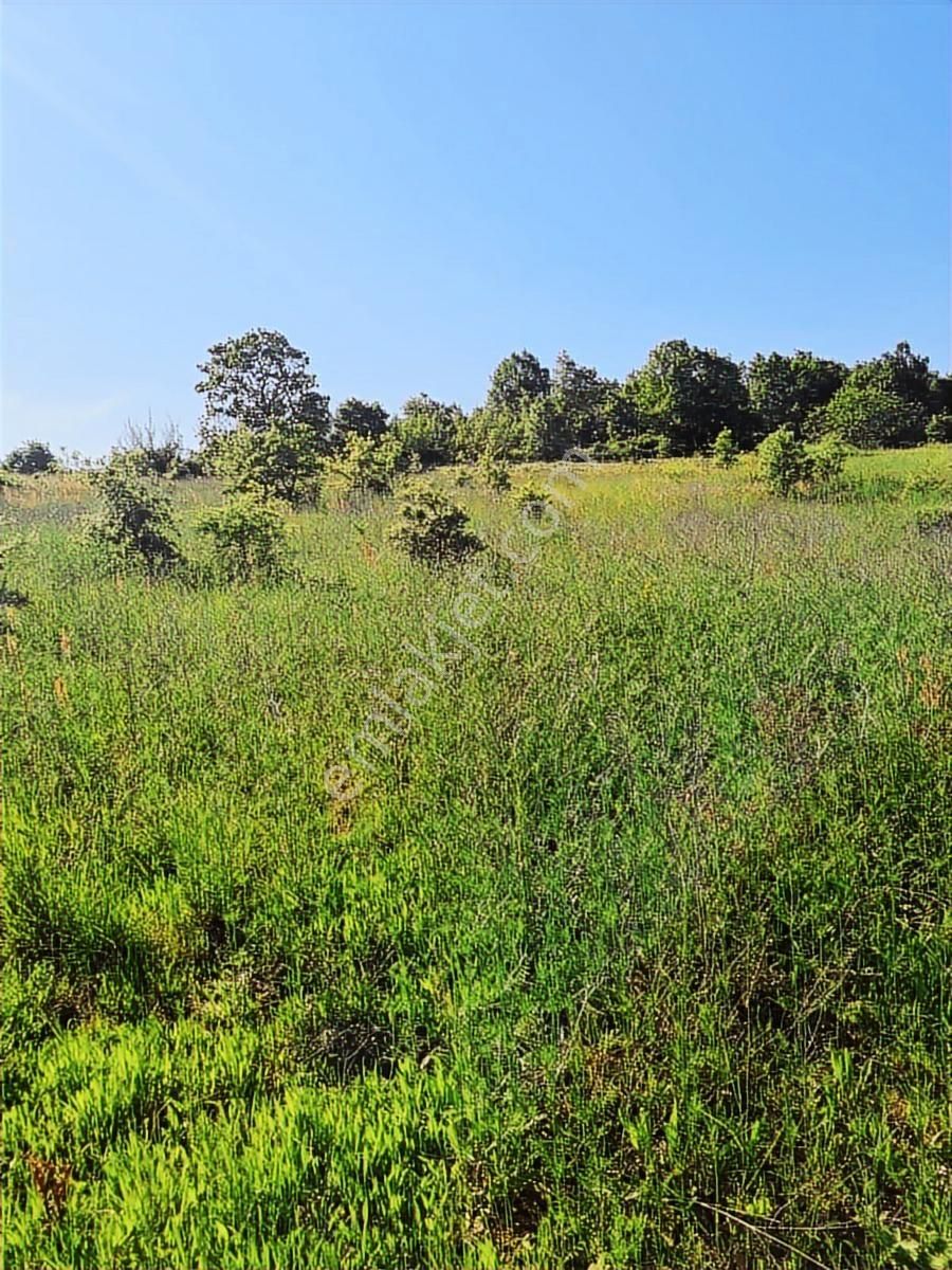 Biga Gündoğdu'da 45 Metre Yola Cephe Yatırımlık Tarla - Görsel 20