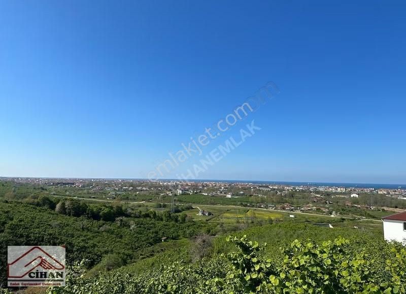 Kaçırılmayacak Yatırımlık Fındık Bahçesi Full Deniz Manzarası - Görsel 13