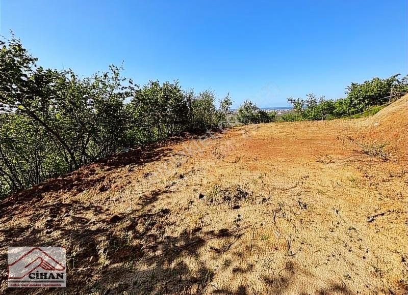 Kaçırılmayacak Yatırımlık Fındık Bahçesi Full Deniz Manzarası - Görsel 7