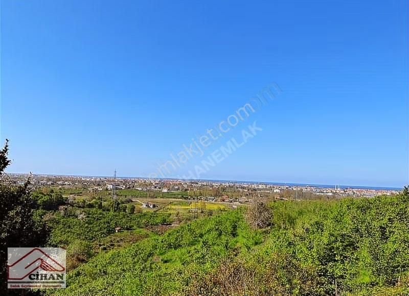 Kaçırılmayacak Yatırımlık Fındık Bahçesi Full Deniz Manzarası - Görsel 3