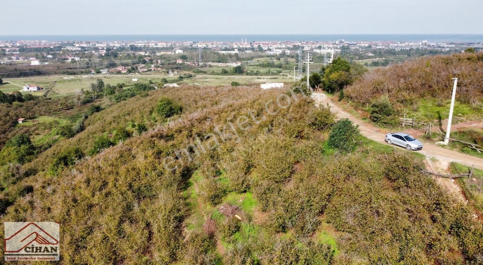 Kaçırılmayacak Yatırımlık Fındık Bahçesi Full Deniz Manzarası - Görsel 9