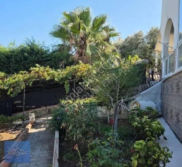 Bodrum Gümüşlük Koyunbaba Deniz Manzaralı Villa - Görsel 4