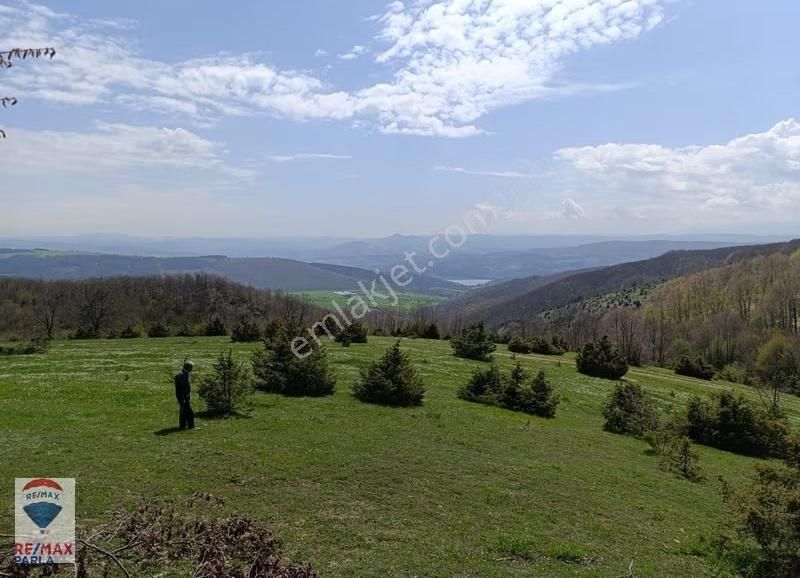 Remax Soner'den Kavak Küçükçukur'da Satılık 8.000 M2 Tarla - Görsel 5