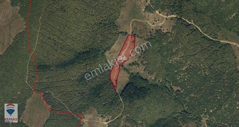 Remax Soner'den Kavak Küçükçukur'da Satılık 8.000 M2 Tarla - Görsel 2