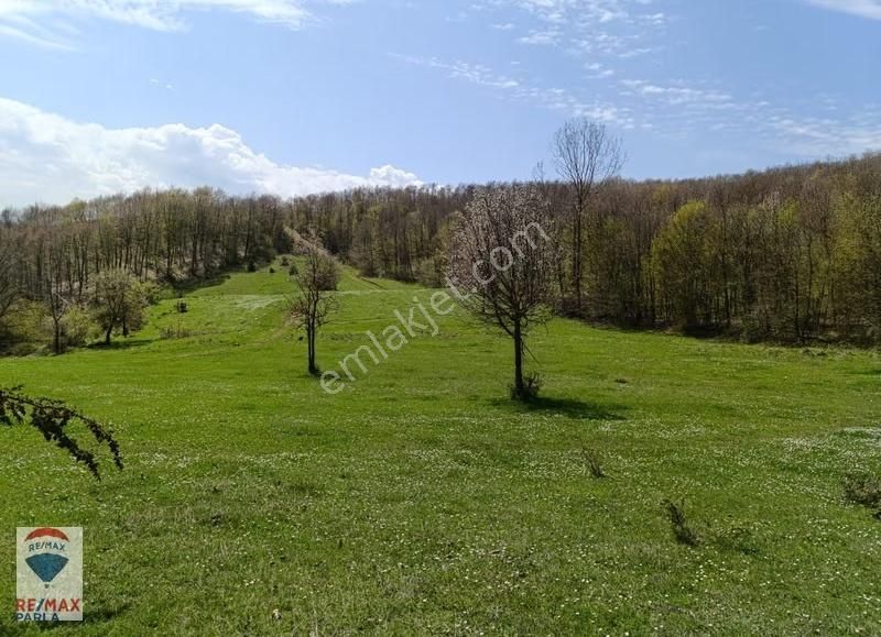 Remax Soner'den Kavak Küçükçukur'da Satılık 8.000 M2 Tarla