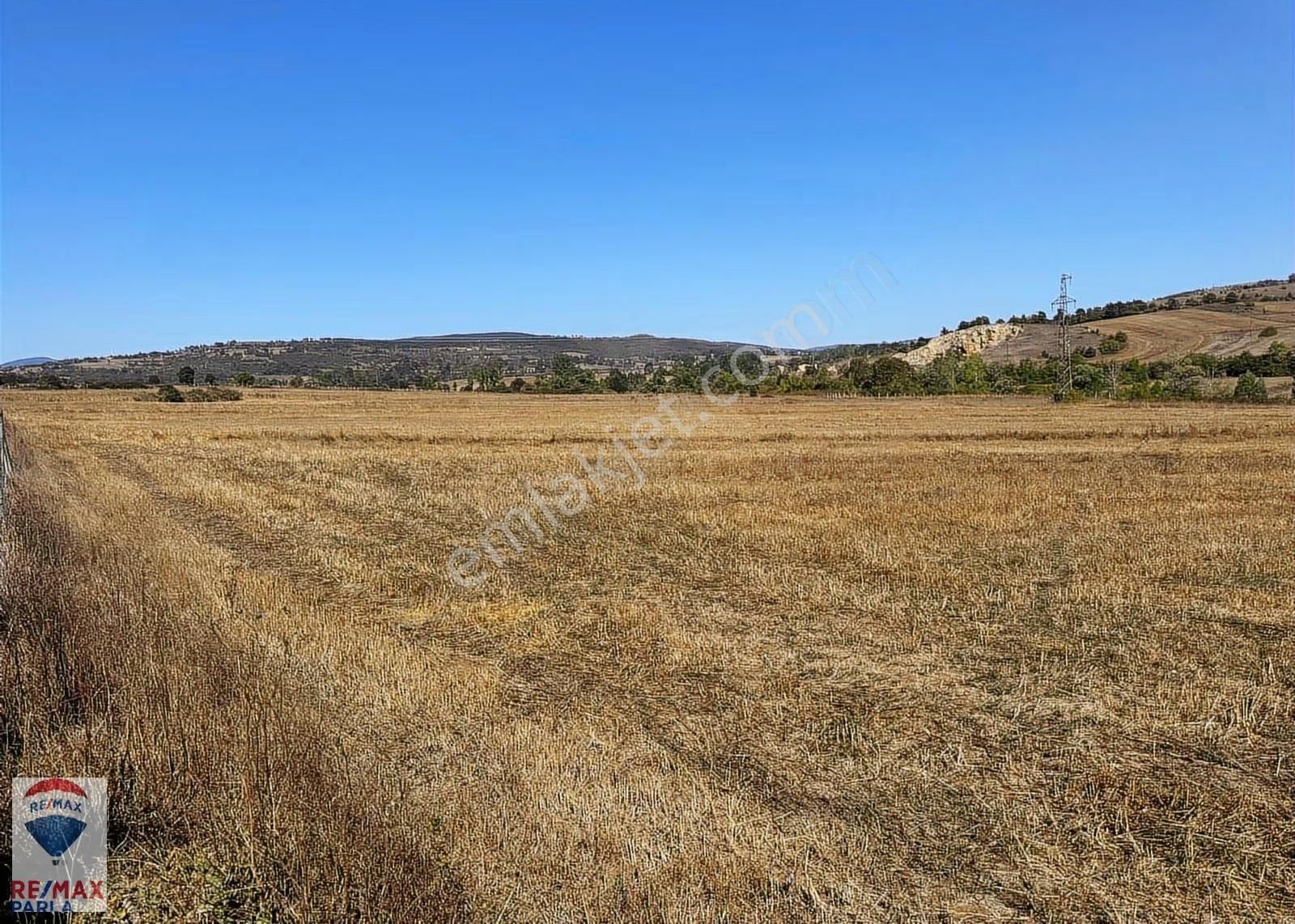 Remax Soner'den Kavak Merkezde İmara Sınır Satılık Tarla - Görsel 11