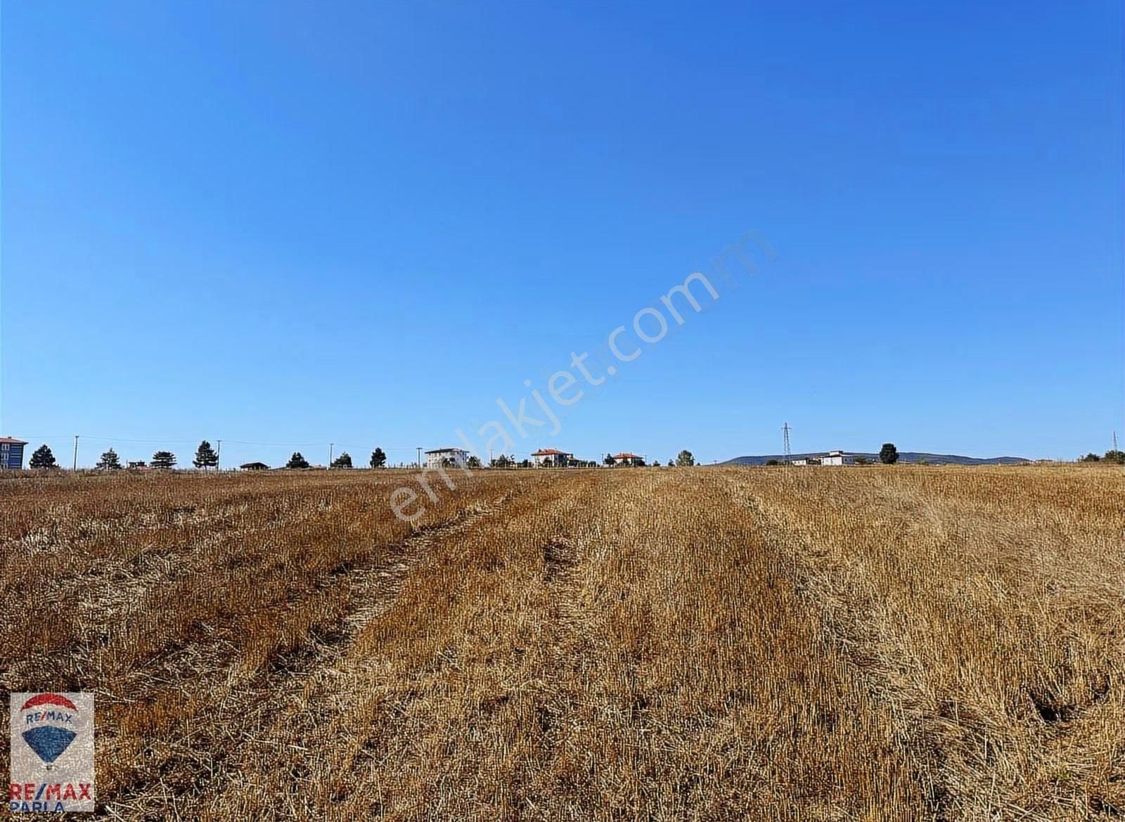 Remax Soner'den Kavak Merkezde İmara Sınır Satılık Tarla - Görsel 7