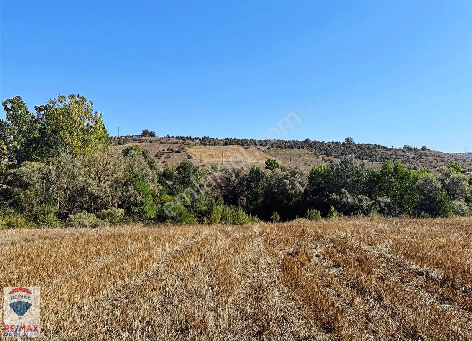 Remax Soner'den Kavak Merkezde İmara Sınır Satılık Tarla