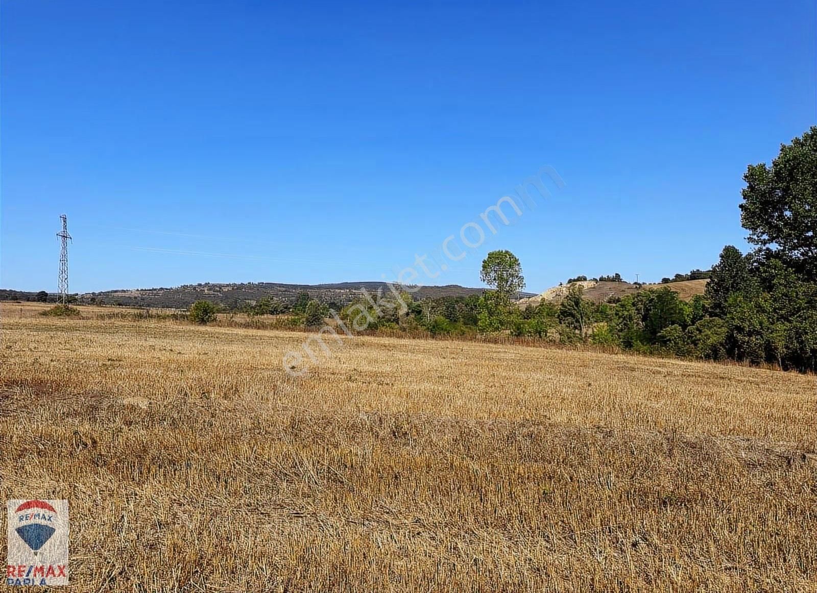 Remax Soner'den Kavak Merkezde İmara Sınır Satılık Tarla - Görsel 17