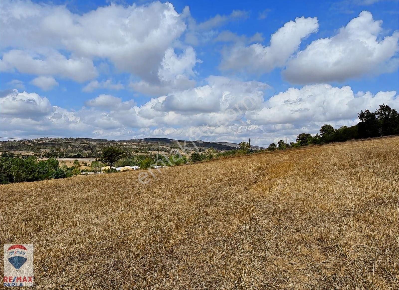 Remax Soner'den Kavak'a 1 Km Mesafede 26000 M Yatırımlık Tarla - Görsel 11