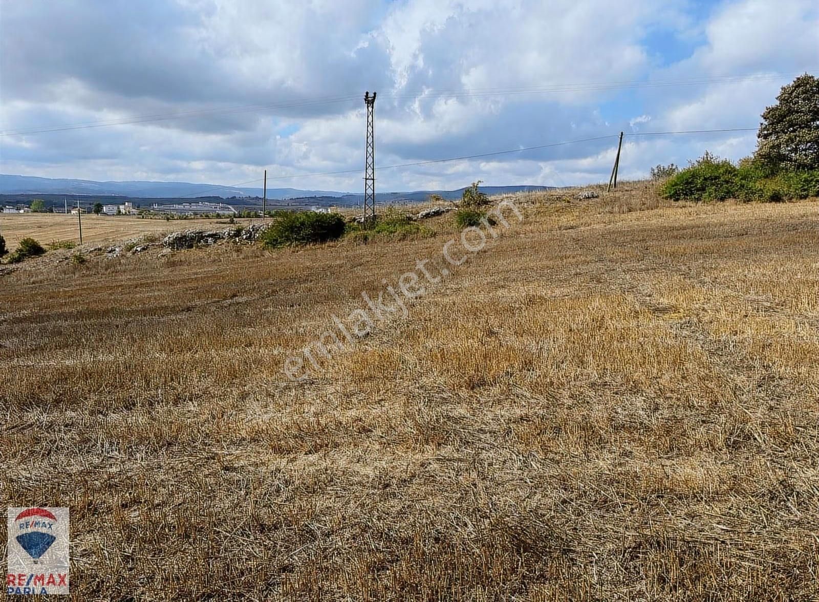 Remax Soner'den Kavak'a 1 Km Mesafede 26000 M Yatırımlık Tarla - Görsel 10