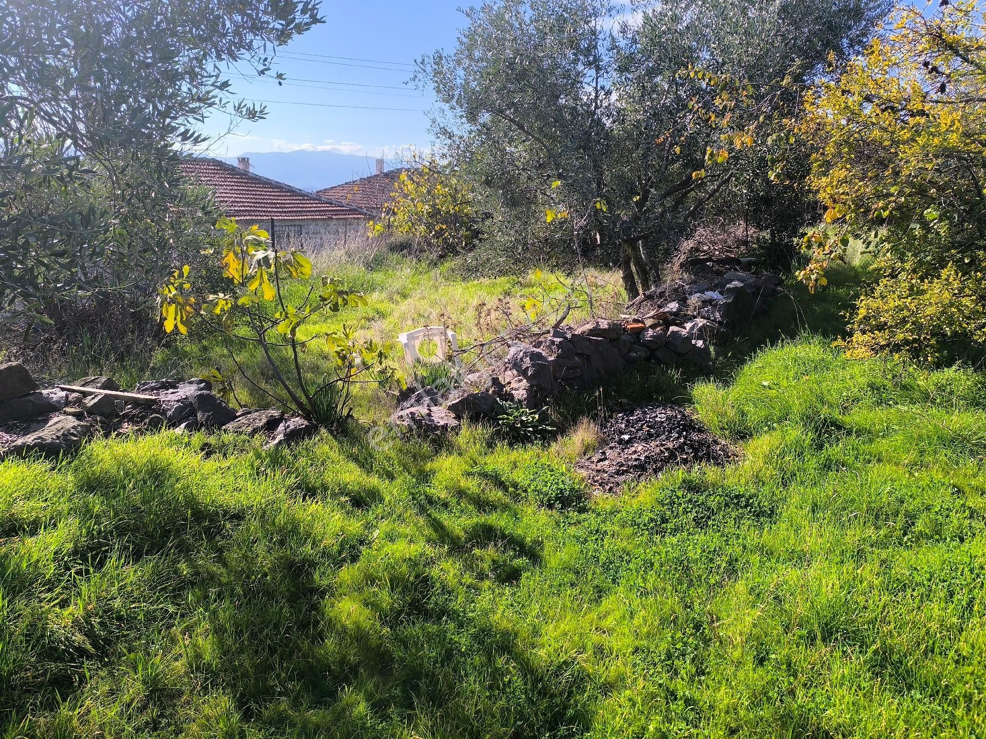 Manisa Yunusemre Karakılıçlı 475 M2 Müstakil Taş Ev 3.500.000tl - Görsel 26