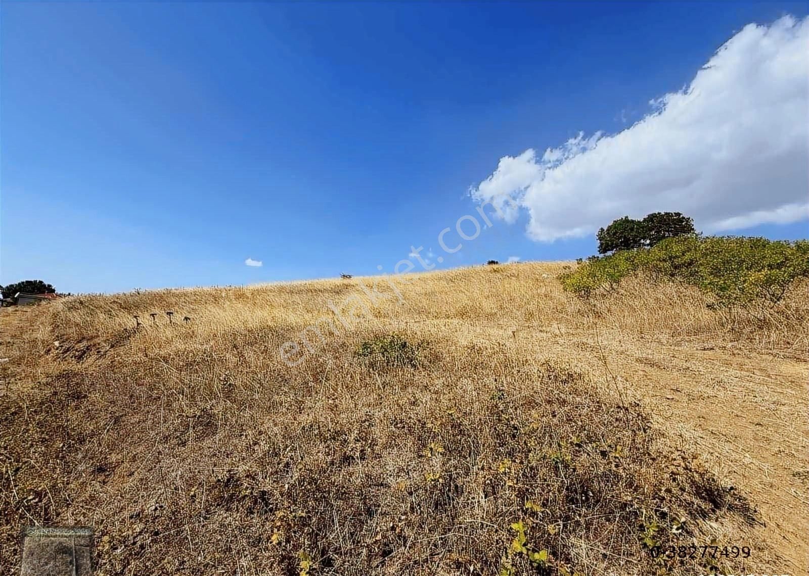 Gayrimenkul Dünyasından.! Adliye Köyünde İmarlı Arsa! - Görsel 16