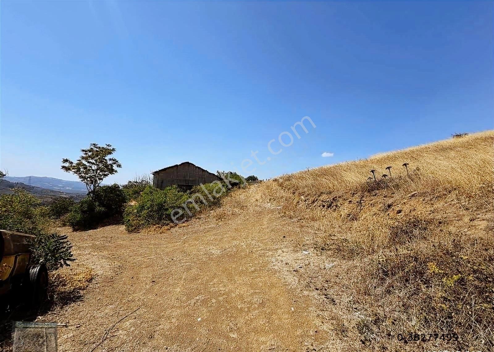 Gayrimenkul Dünyasından.! Adliye Köyünde İmarlı Arsa! - Görsel 8