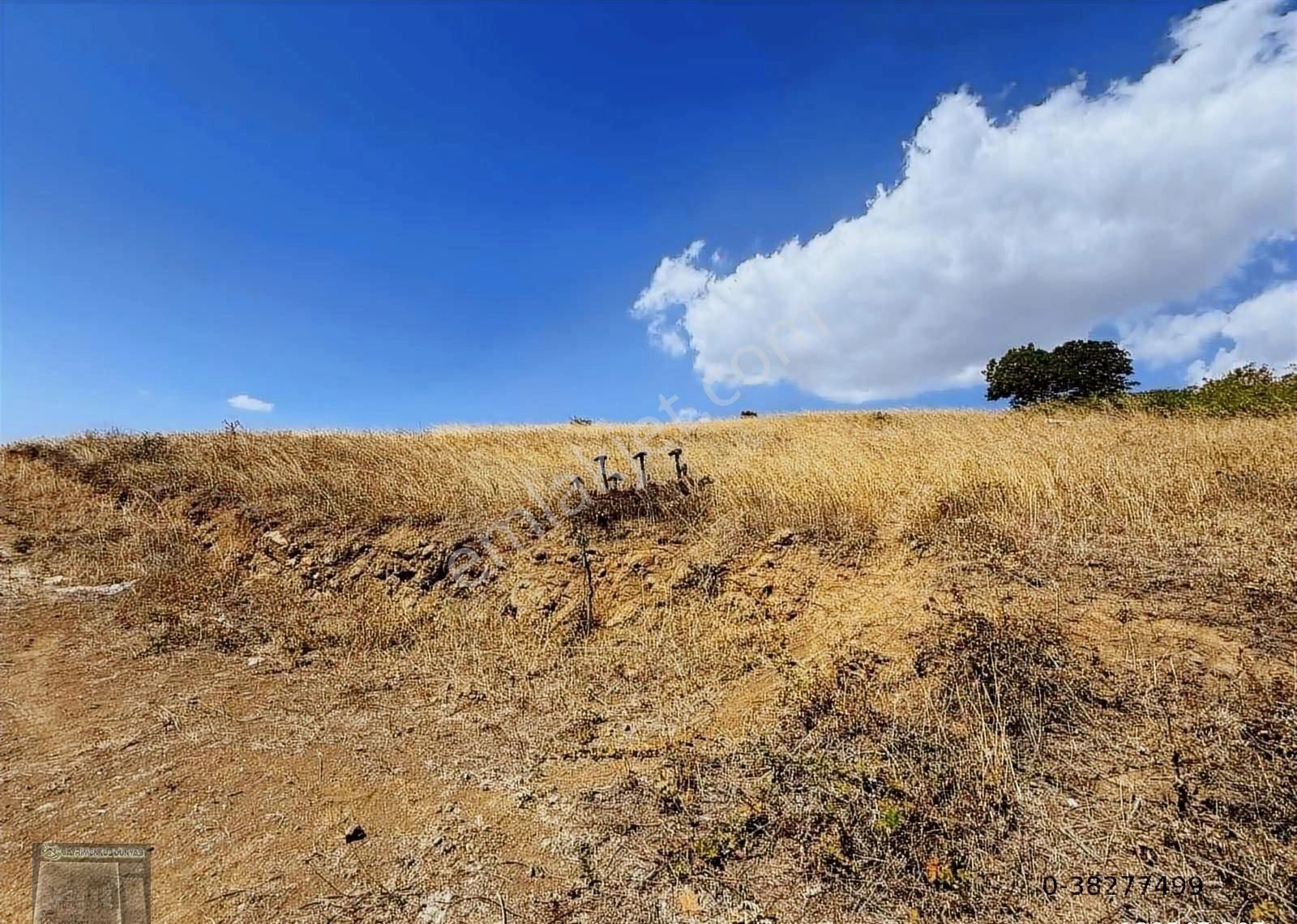 Gayrimenkul Dünyasından.! Adliye Köyünde İmarlı Arsa! - Görsel 15