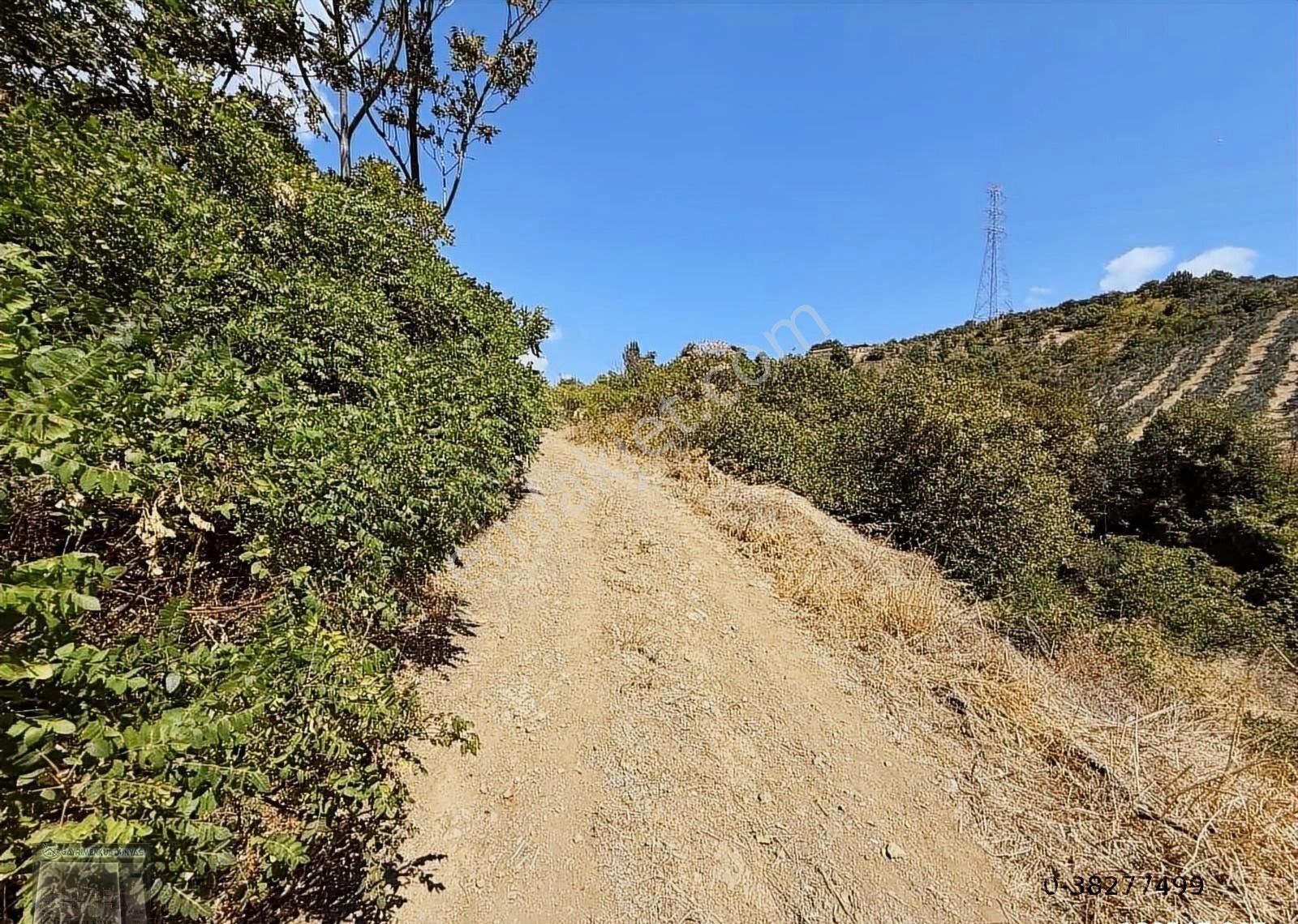 Gayrimenkul Dünyasından.! Adliye Köyünde İmarlı Arsa! - Görsel 14