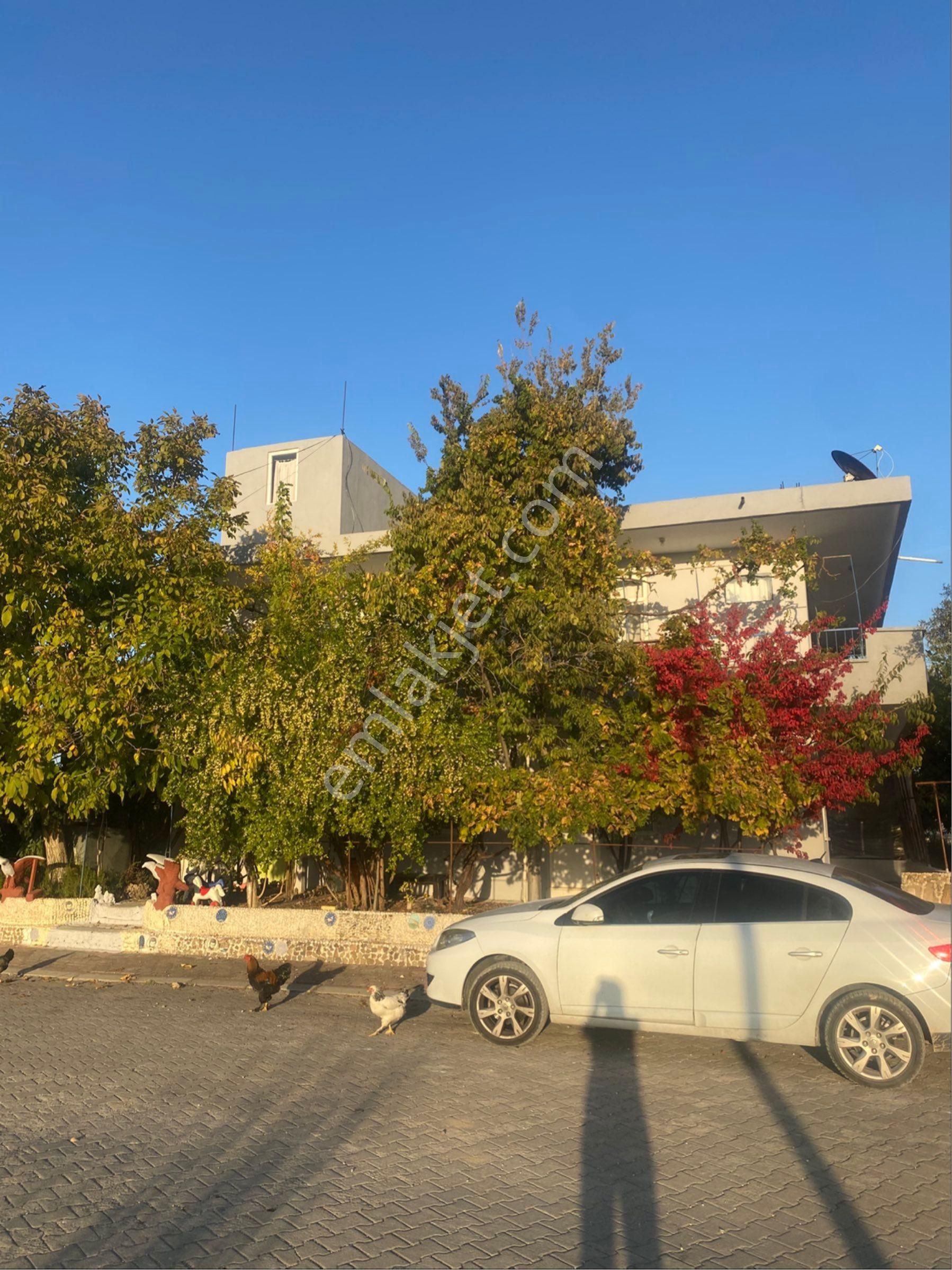 İnfo Gayrimenkulden Çolaklıda 1000m2 Arsa - Görsel 3