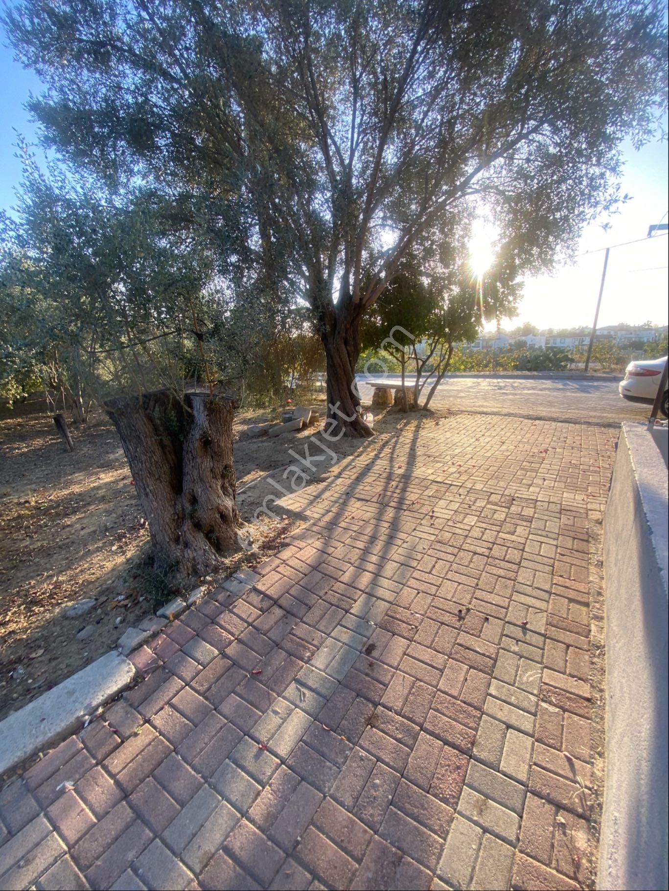 İnfo Gayrimenkulden Çolaklıda 1000m2 Arsa - Görsel 9