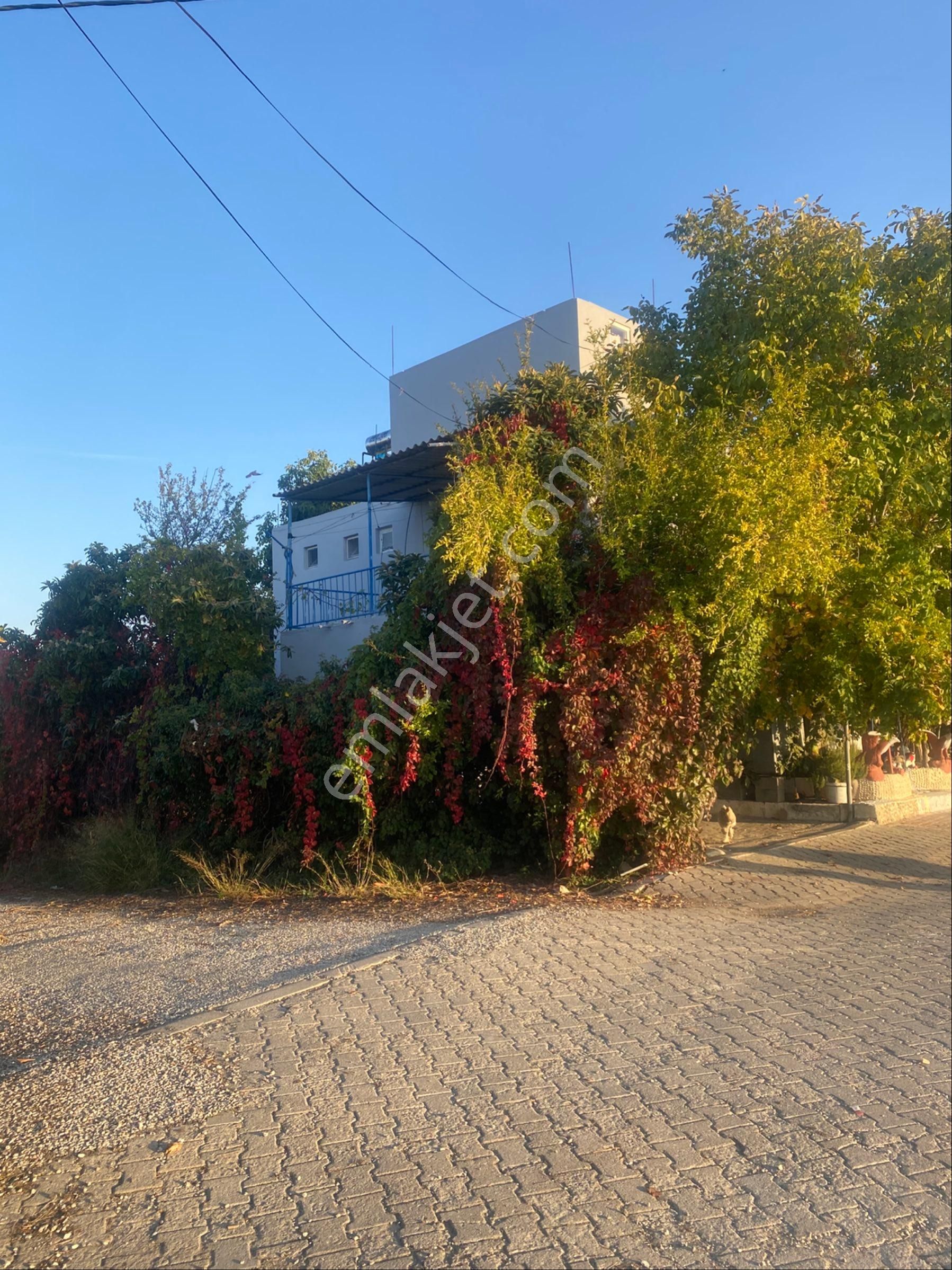 İnfo Gayrimenkulden Çolaklıda 1000m2 Arsa - Görsel 4