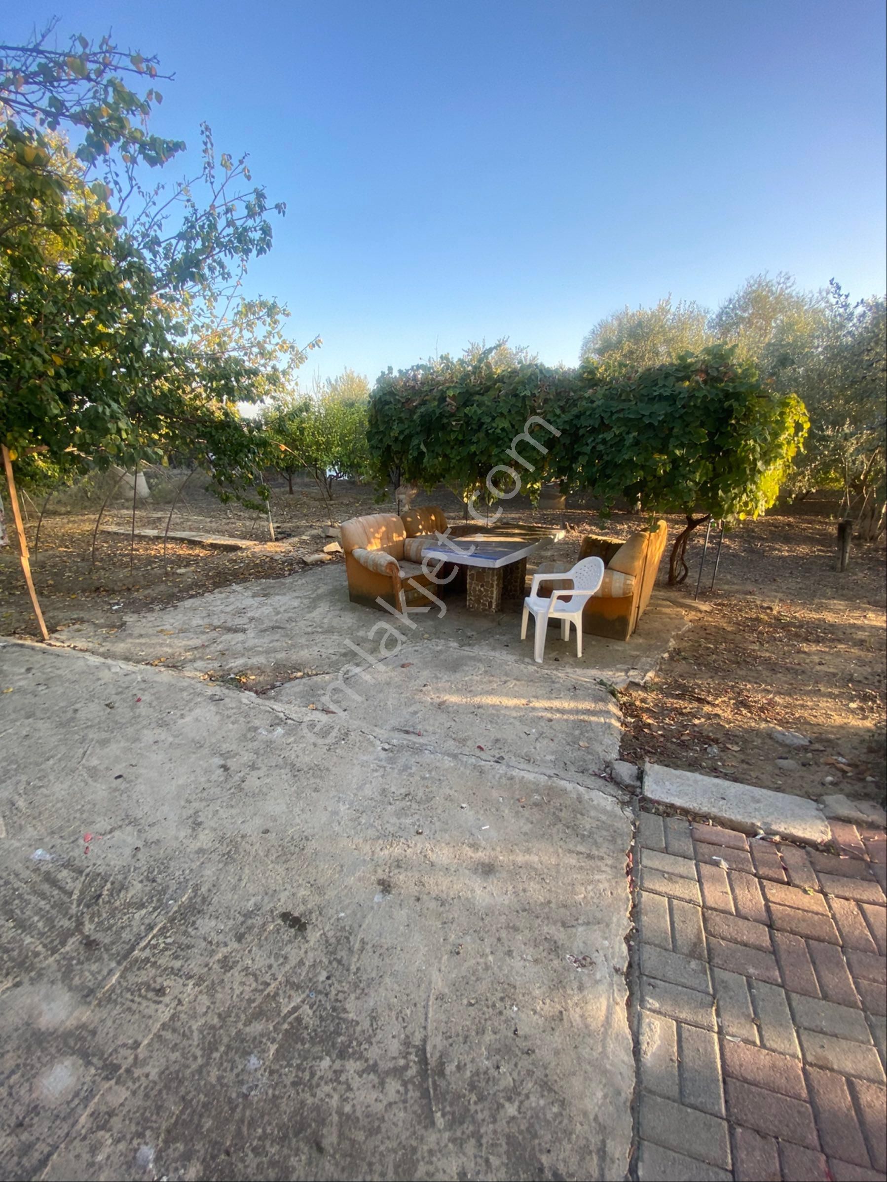 İnfo Gayrimenkulden Çolaklıda 1000m2 Arsa - Görsel 7