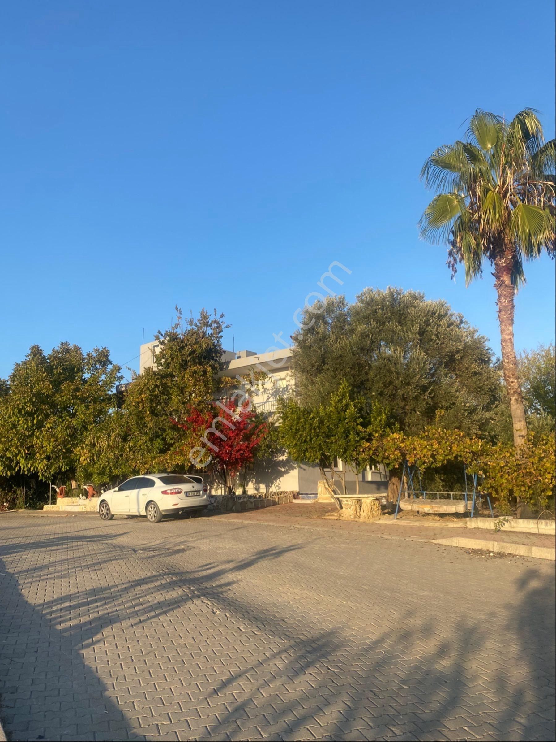 İnfo Gayrimenkulden Çolaklıda 1000m2 Arsa - Görsel 2