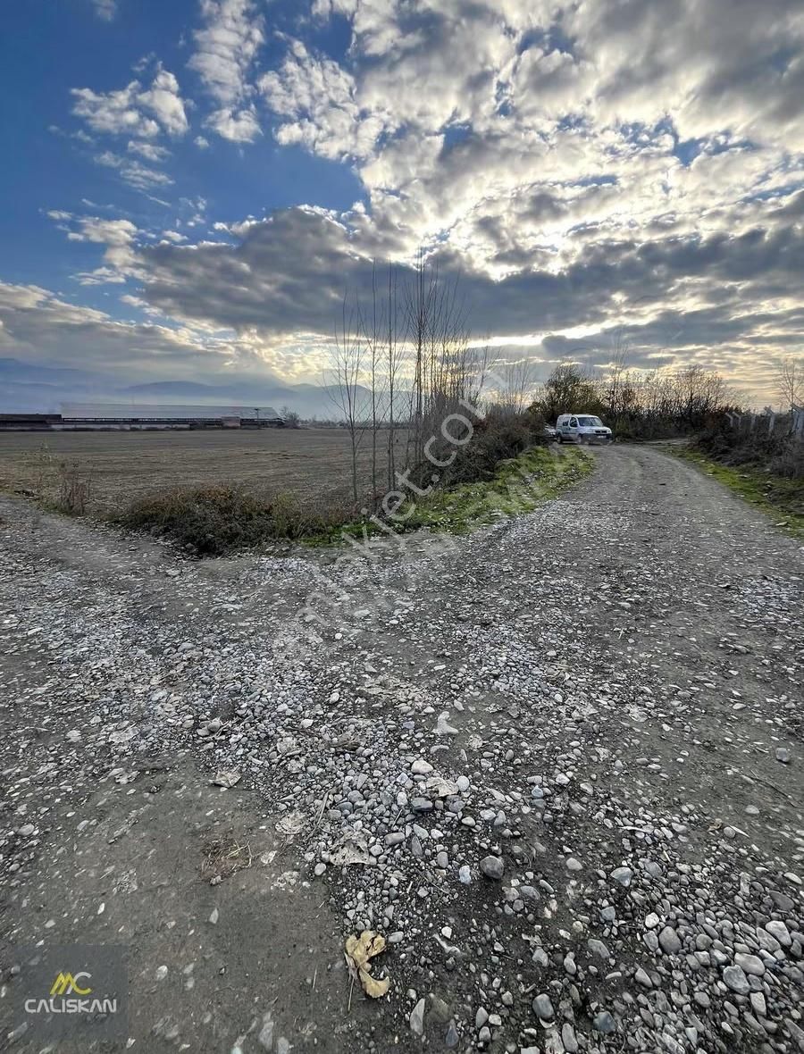 Büyükyıldız 1.940 M2 Satılık Tek Tapu Tarla