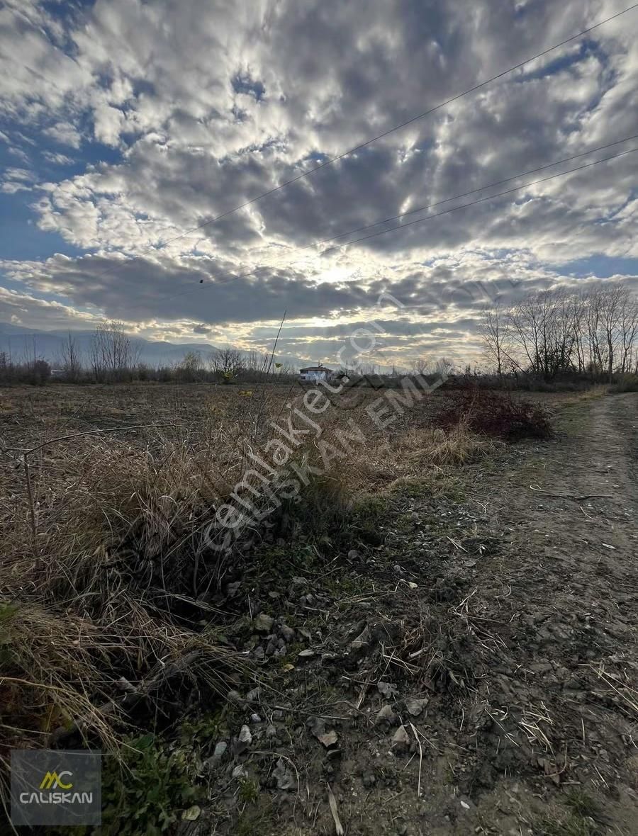 Büyükyıldız 1.940 M2 Satılık Tek Tapu Tarla - Görsel 3
