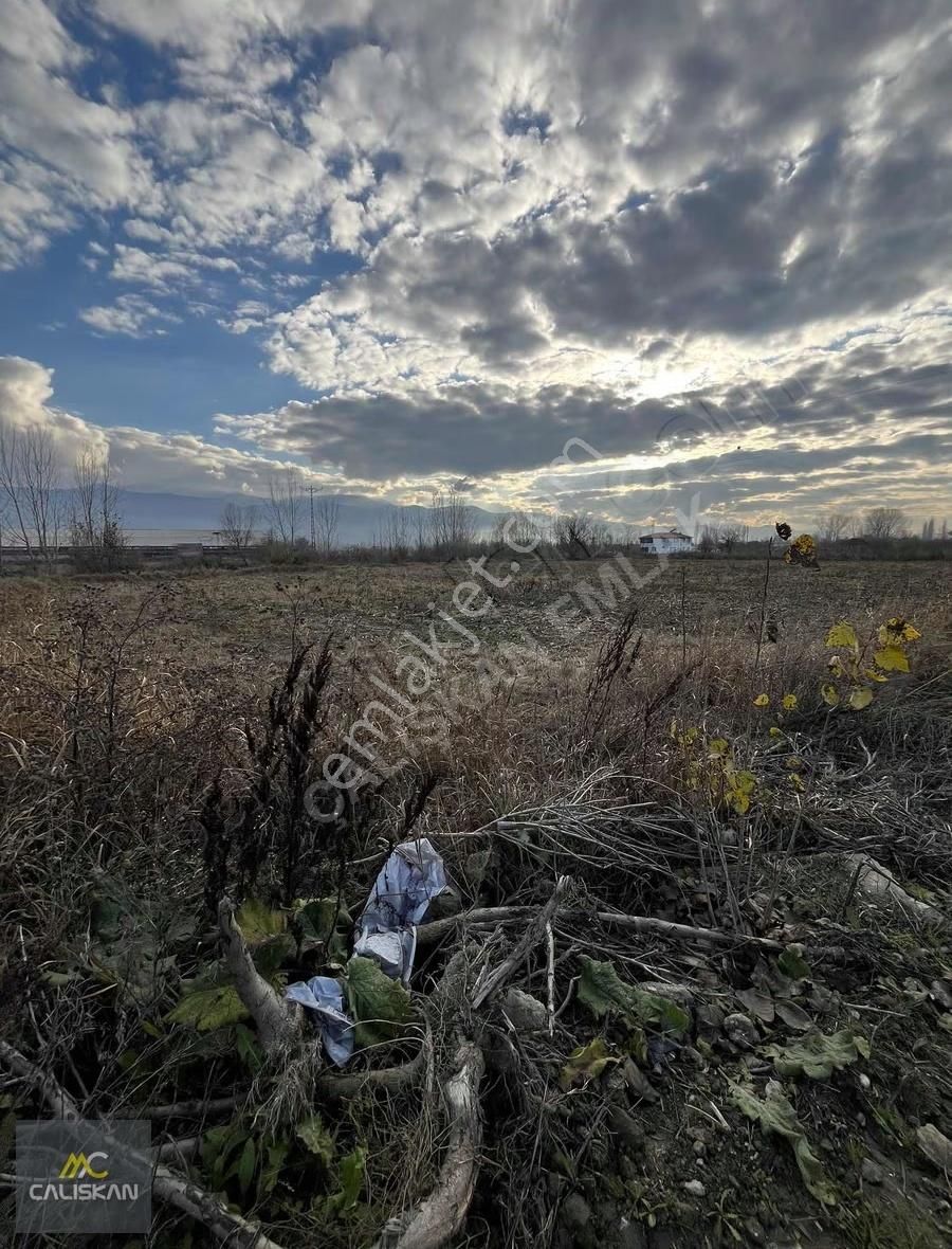 Büyükyıldız 1.940 M2 Satılık Tek Tapu Tarla - Görsel 2