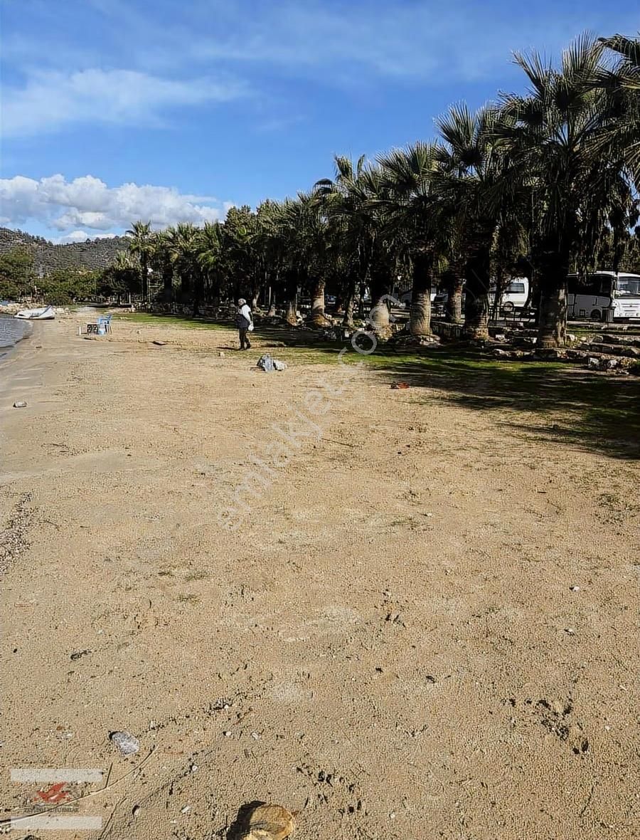 Kıyıkışlacık Zeytinlikuyu Manzara Mandalya Da Sıfır Villa - Görsel 21