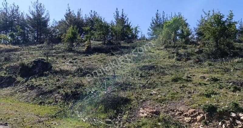 Yıldırım Mühendisliklik'ten Ören/yoğunoluk Mah."11.800 M² Tarla - Görsel 6