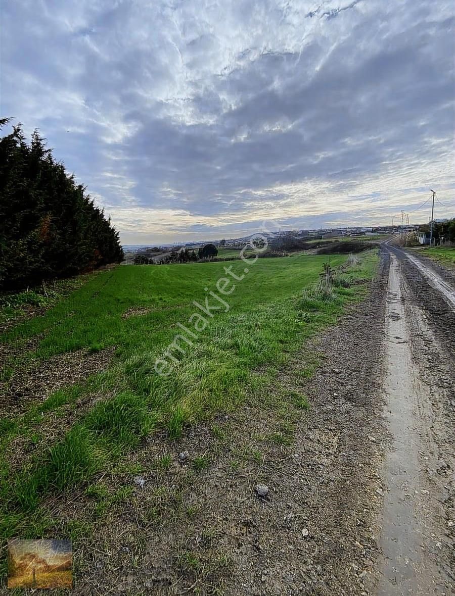 İstanbul Silivri Değirmenköy Sahibinden Satılık 150m2 Arsa