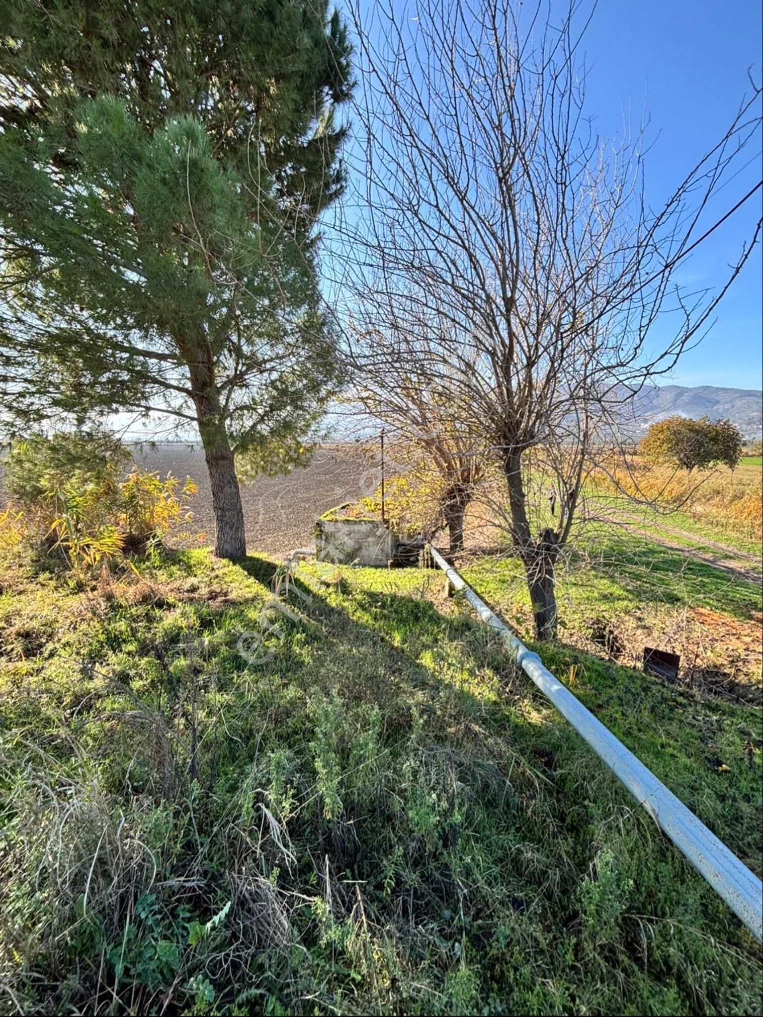 Nazilli Esenköy Mahallesinde 2039 M2 Satılık Tarla - Görsel 14