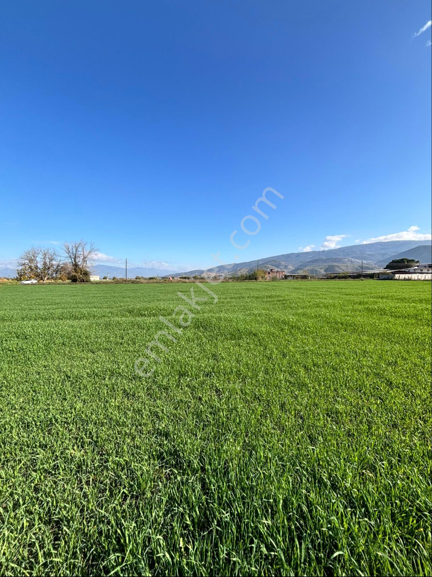 Nazilli Esenköy Mahallesinde 2039 M2 Satılık Tarla