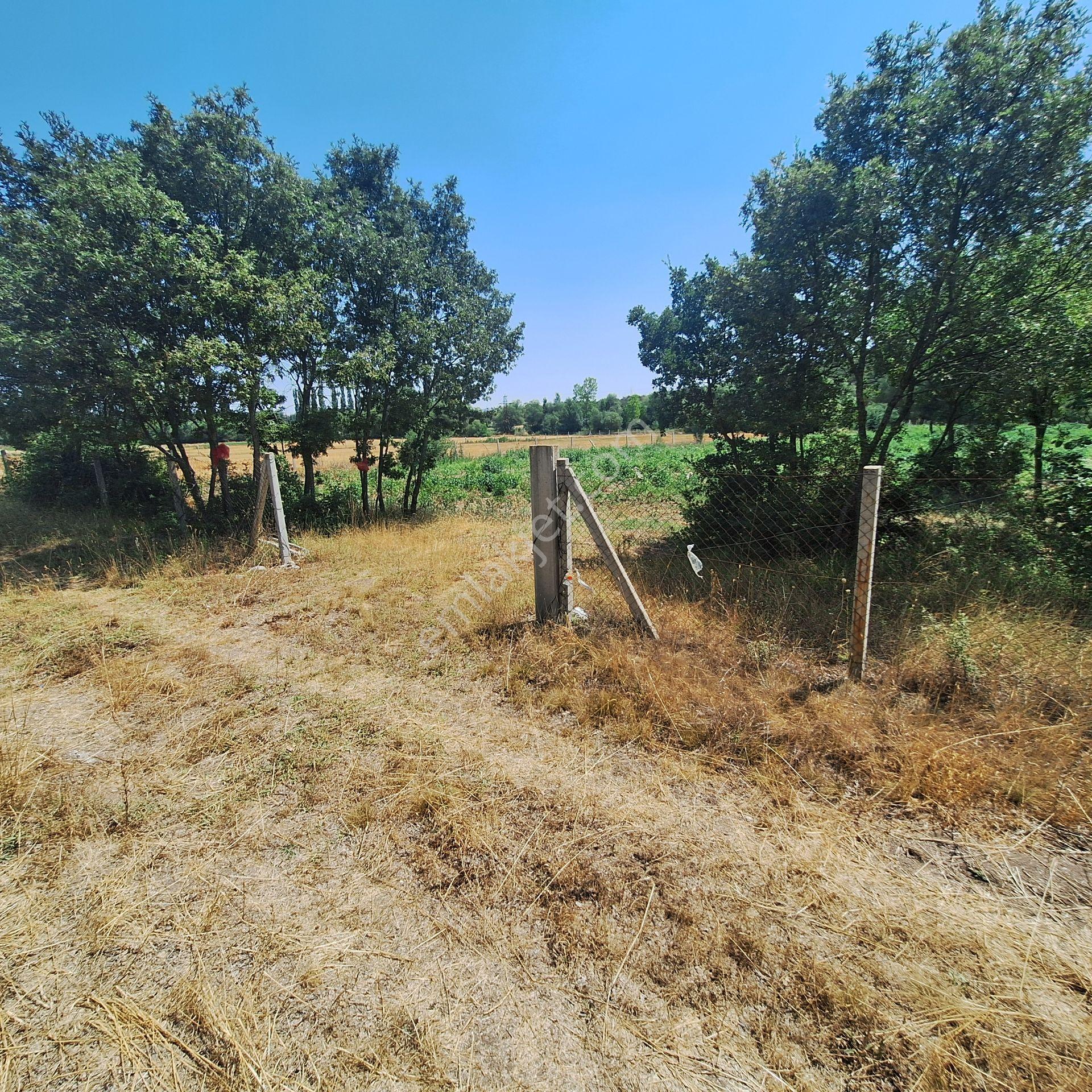Century 21 Vizyon'dan Yenisofça’da Su Ve Yolu Olan 4001 M2 Satılık Tarla - Görsel 3