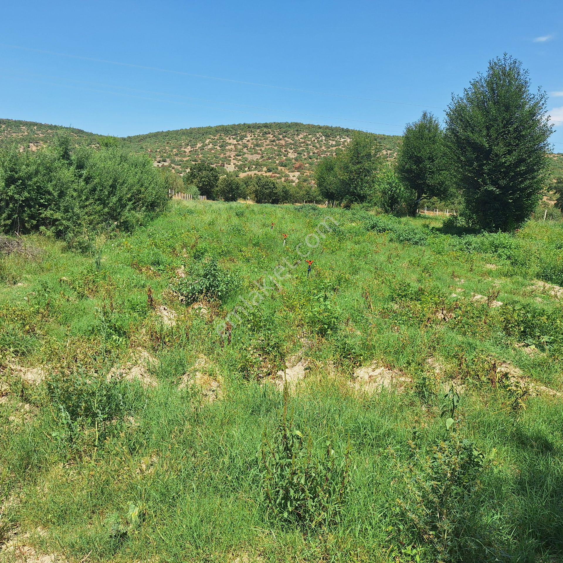 Century 21 Vizyon'dan Yenisofça’da Su Ve Yolu Olan 4001 M2 Satılık Tarla - Görsel 8