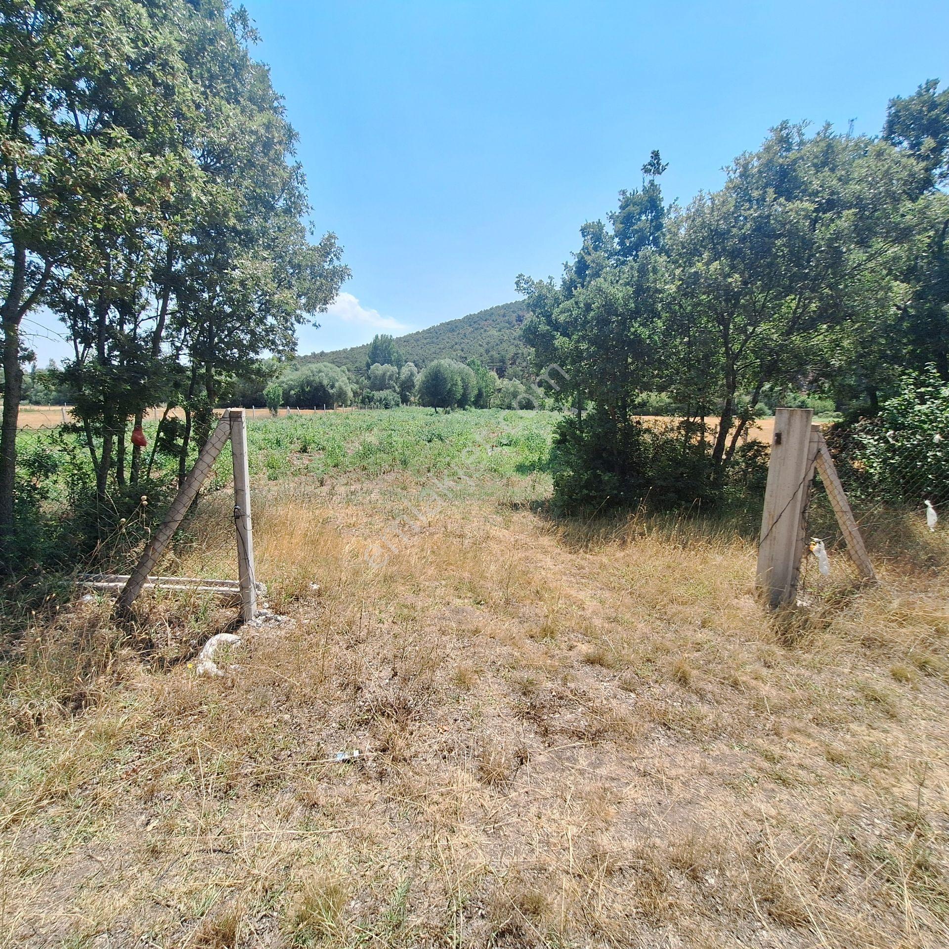 Century 21 Vizyon'dan Yenisofça’da Su Ve Yolu Olan 4001 M2 Satılık Tarla - Görsel 4