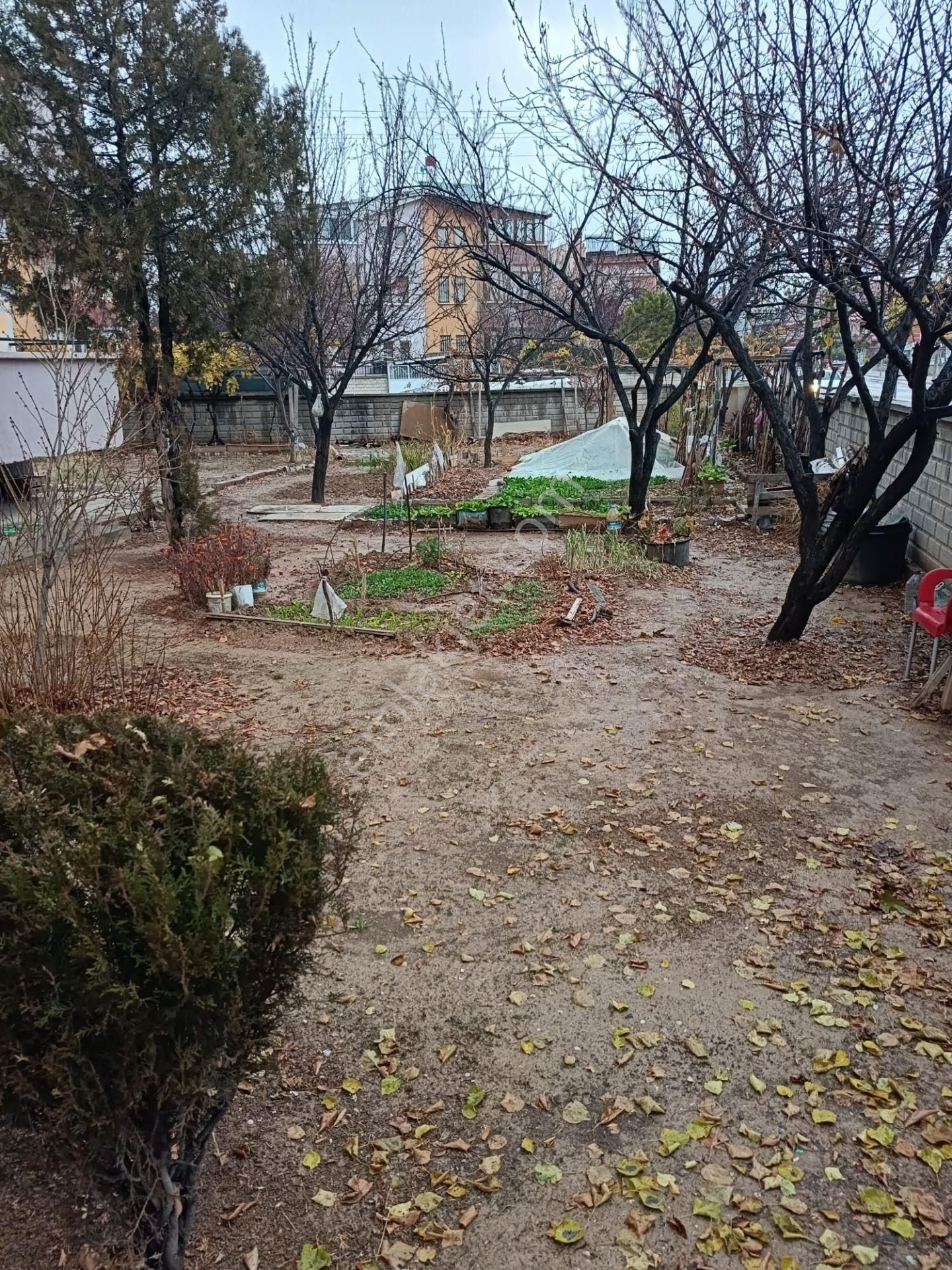 A Y N Gayrimenkul Den Buhara Mah. Edipoğlu Cd. 3+1 Yüksek Giriş Satılık Daire - Görsel 18