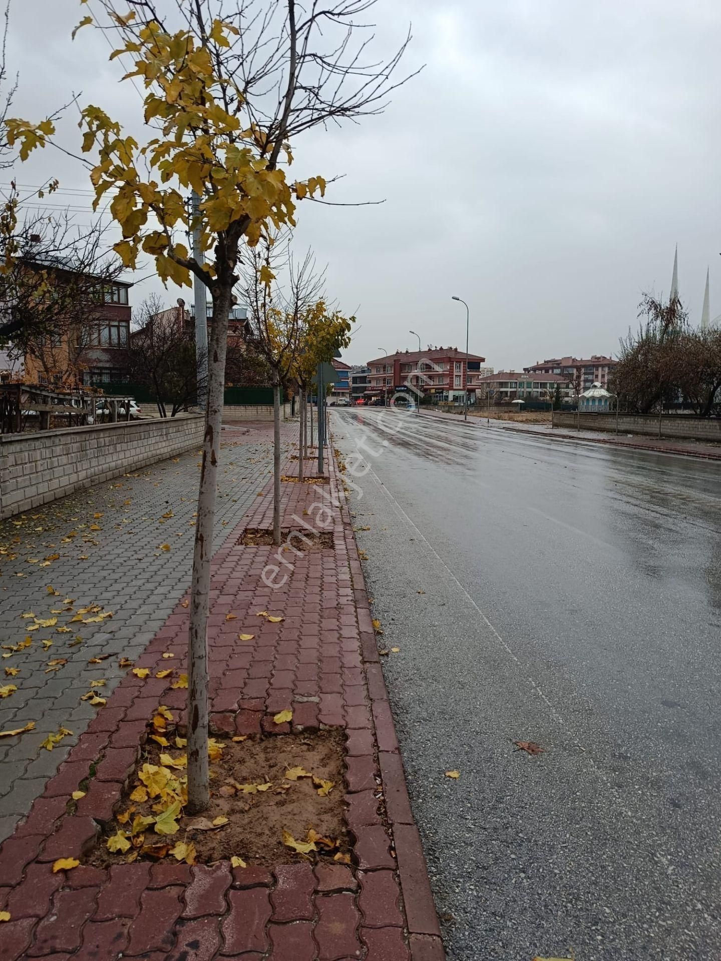 A Y N Gayrimenkul Den Buhara Mah. Edipoğlu Cd. 3+1 Yüksek Giriş Satılık Daire - Görsel 19