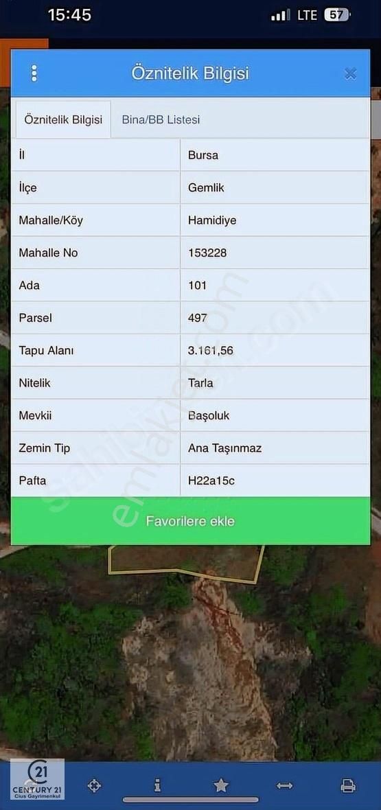 C21 Cius; Hamidiye Köyünde Satılık Yola Cepheli Tarla - Görsel 10